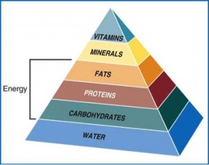 6 Basic Nutrients Picture